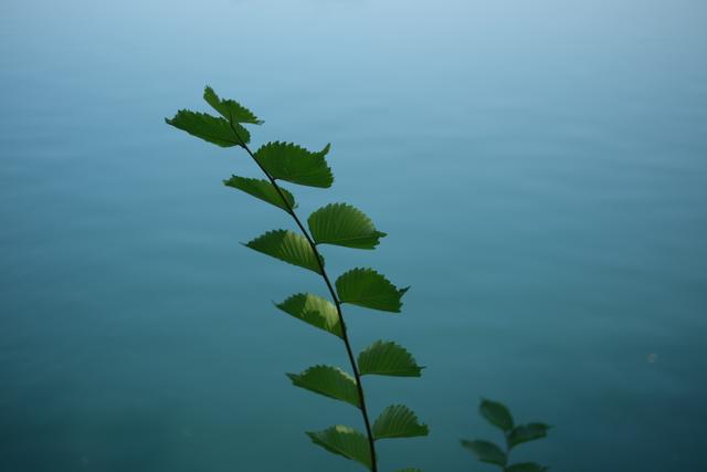 Reservoir