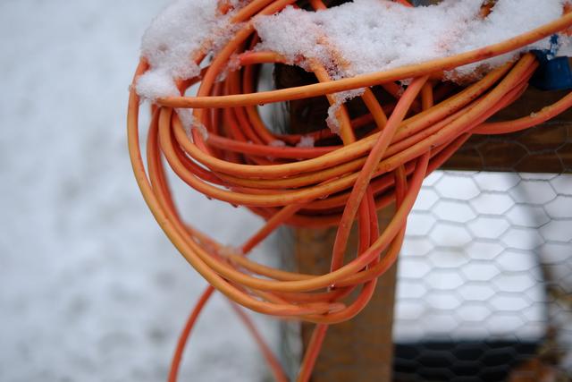 Winter Cord